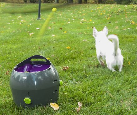 Lanzador de bolas automático para mascotas