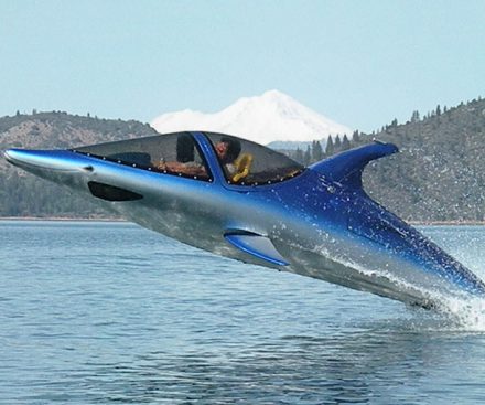 Barco a motor con forma de delfín