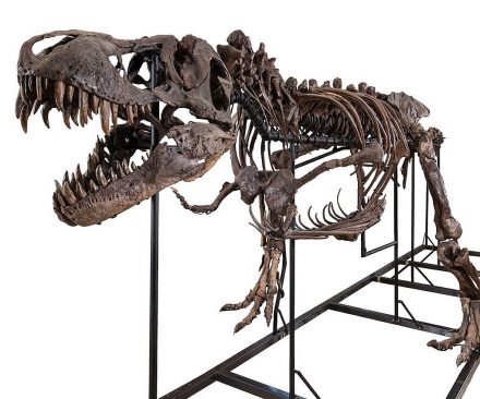 Esqueleto de Tyrannosaurus Rex
