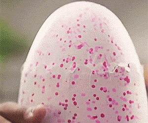 Huevos de animales eclosionando robóticos