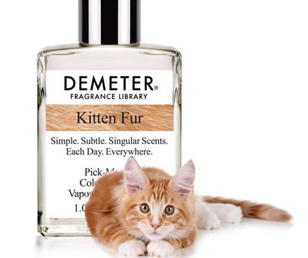 Perfume de piel de gatito