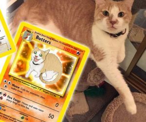 Cartas Pokémon personalizadas de mascotas