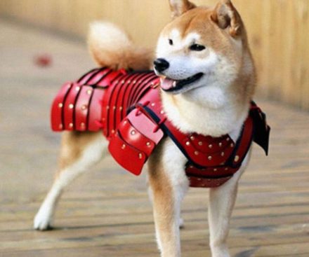 Armadura de Samurai para mascotas